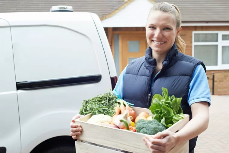 Se faire livrer des courses pour une semaine de repas à domicile pour une colocation, Bourgoin-Jallieu, Domavie